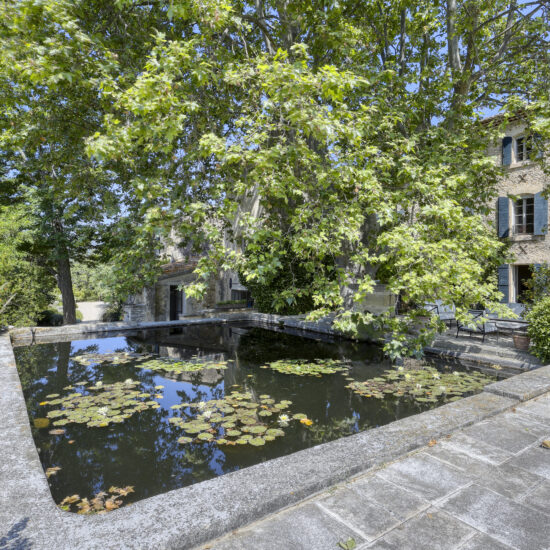 A serene pond with lily pads surrounded by trees and stone buildings.