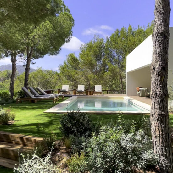 Modern house with a pool surrounded by lush greenery and trees.